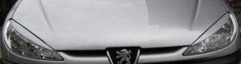 20887-1 Φρυδάκια φαναριών για  Peugeot 206 - μαύρα